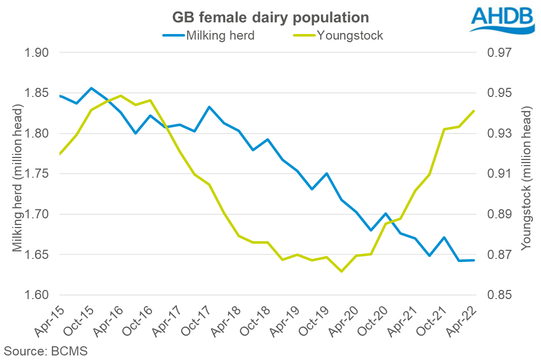 graph showing chnage in the dairy females population